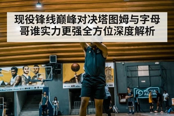 现役锋线巅峰对决塔图姆与字母哥谁实力更强全方位深度解析
